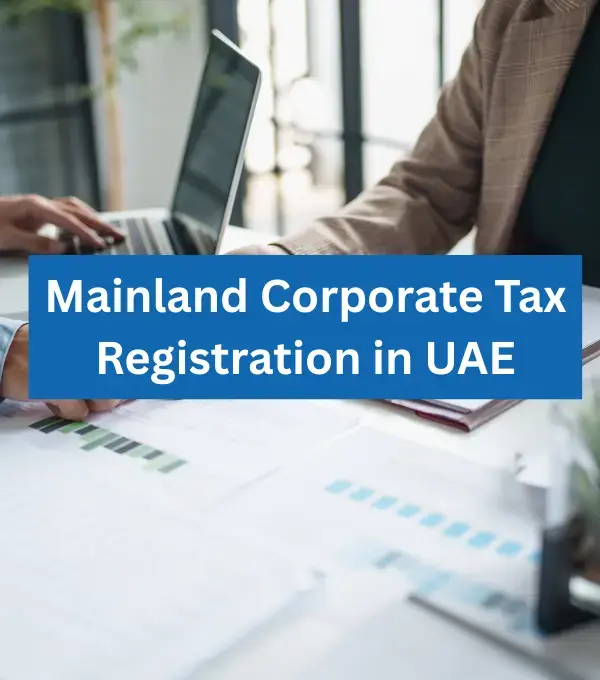 Mainland Corporate Tax Registration